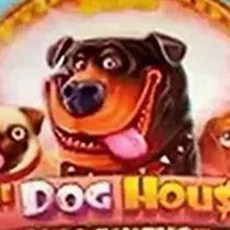 Аппарат The Dog House Megaways от Pragmatic Play