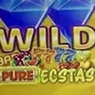 Игровой автомат Wild Pure Ecstasy от Pateplay